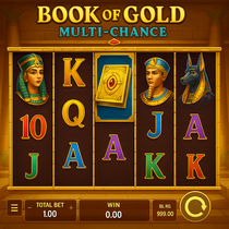 Malina Casino - Machine à sous Book of Gold Multichance